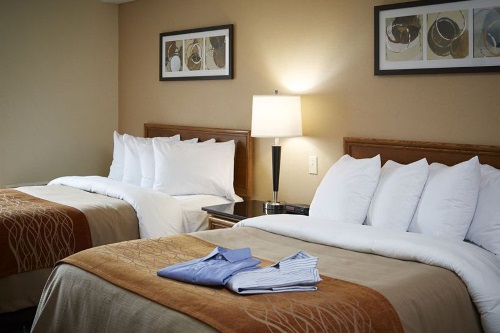 Comfort Inn Corner Brook kamer